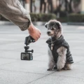Statyw PGYTECH Caplock MantisPod Power do Insta 360_8.webp