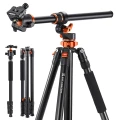 Statyw K&F Concept T254A7 z głowicą kulową BH-28L_01_HD.jpg
