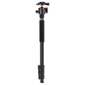 Statyw K&F Concept T254A7 z głowicą kulową BH-28L_08_HD.jpg