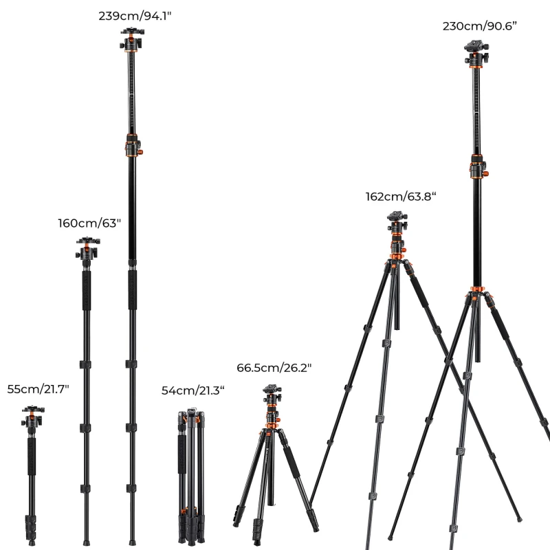 Statyw K&F Concept T254A7 z głowicą kulową BH-28L_11_HD.jpg