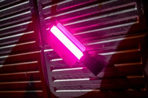 Lampa LED Newell RGB Kathi III_31_HD.jpg
