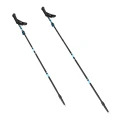 KIJE TREKKINGOWE SKŁADANE NILS TK8604