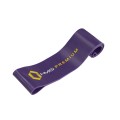 ZESTAW GUM DO ĆWICZEŃ HMS PREMIUM GU04 PRO SET