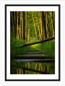 Wydruk w ramie "Pował na cieku wodnym"