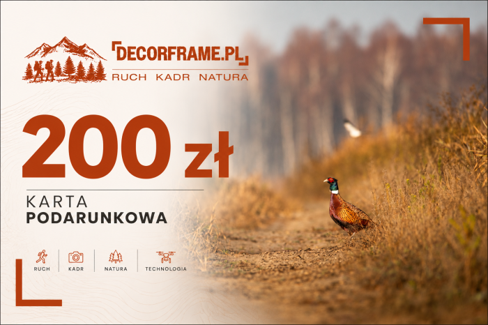 Karta podarunkowa 200 zł z bażantem.png