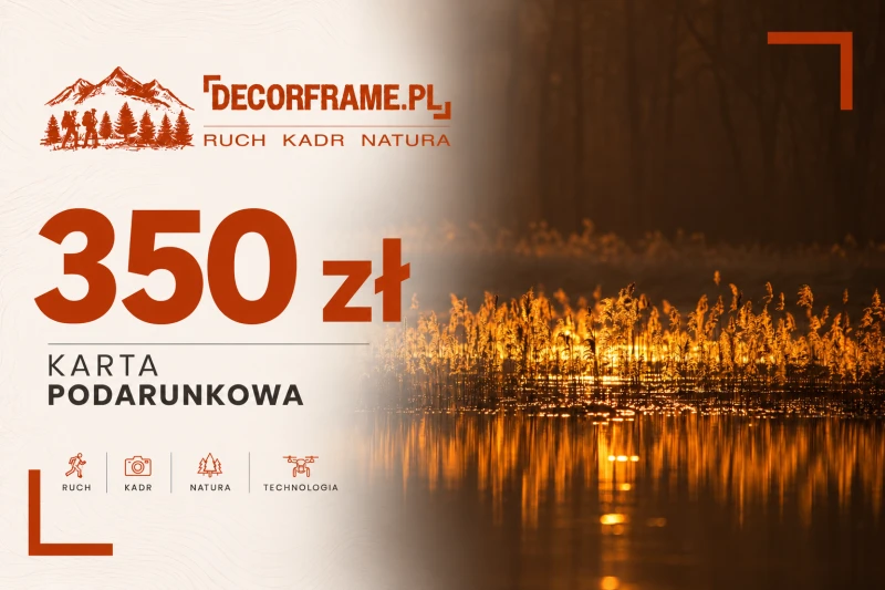 Karta podarunkowa 350 zł wśród złotych trzcin.png