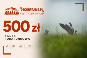 Karta podarunkowa 500 zł – natura i fotografia.png