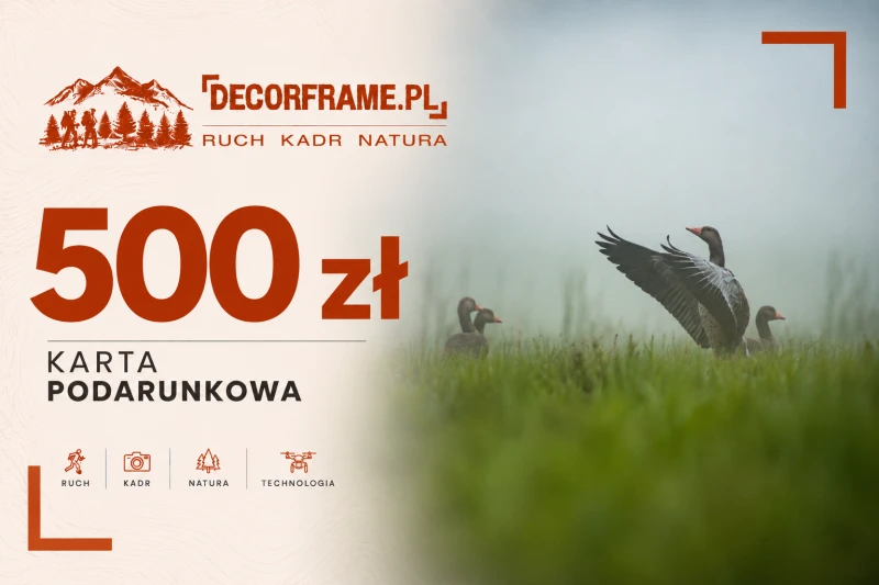 Karta podarunkowa 500 zł – natura i fotografia.png