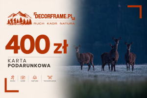 Karta podarunkowa Decorframe z jeleniami.png