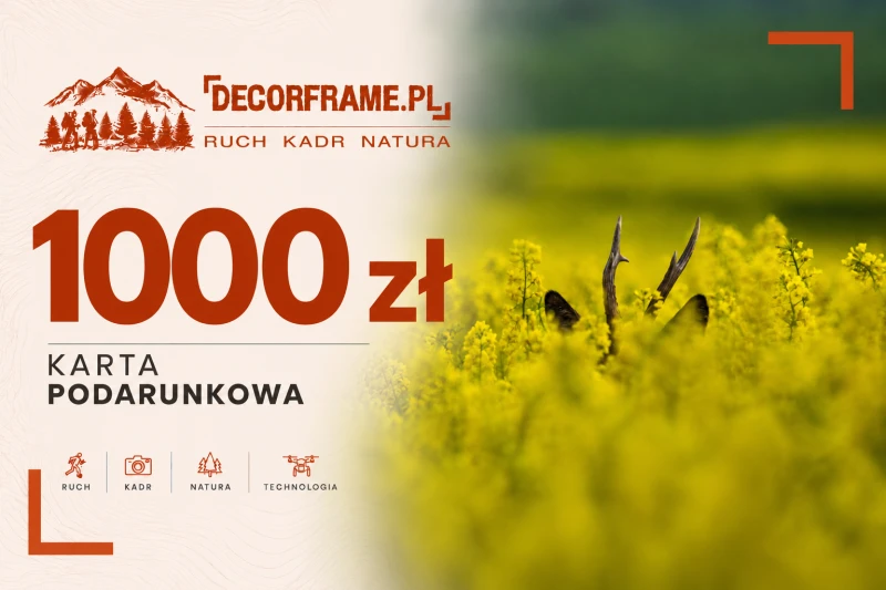 Karta podarunkowa kozioł sarny w rzepaku.png