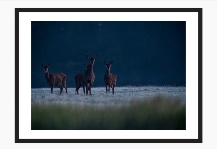 CHMARA W MROŹNY PORANEK.jpg