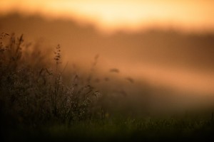 DSC_5449.jpg