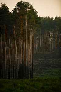 DSC_5643.jpg