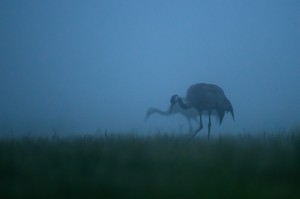 DSC_7903.jpg