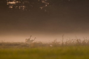 DSC_5452.jpg