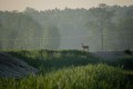 DSC_3378.jpg