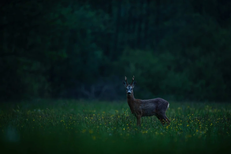 DSC_4873-Edit.jpg