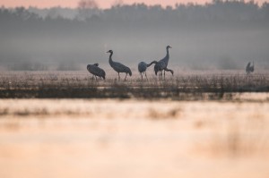 DSC_2722.jpg