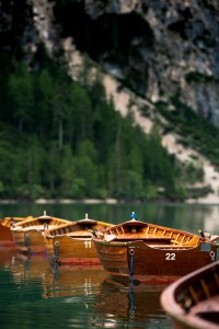 DSC_4810.jpg