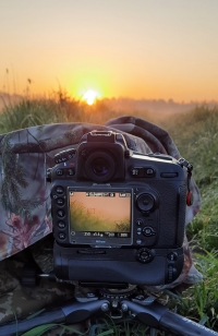 DECORFRAME.PL czyli z miłości do przyrody i fotografii.
